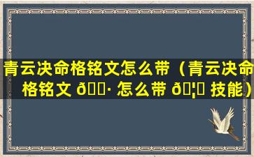 青云决命格铭文怎么带（青云决命格铭文 🕷 怎么带 🦋 技能）